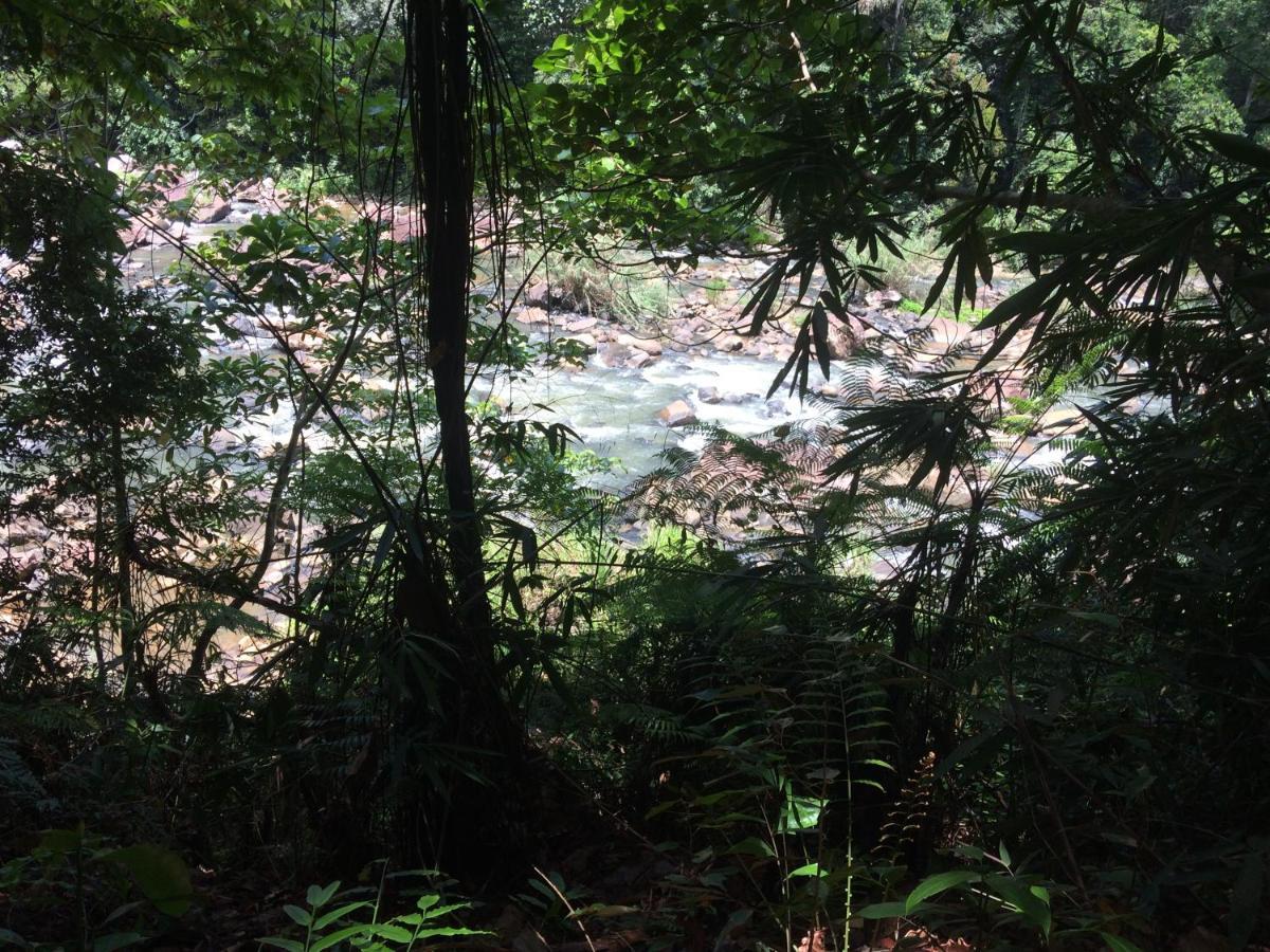 Sinharaja Forest Edge Deniyaya Ngoại thất bức ảnh