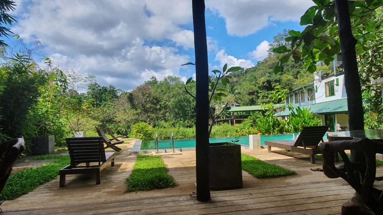 Sinharaja Forest Edge Deniyaya Ngoại thất bức ảnh