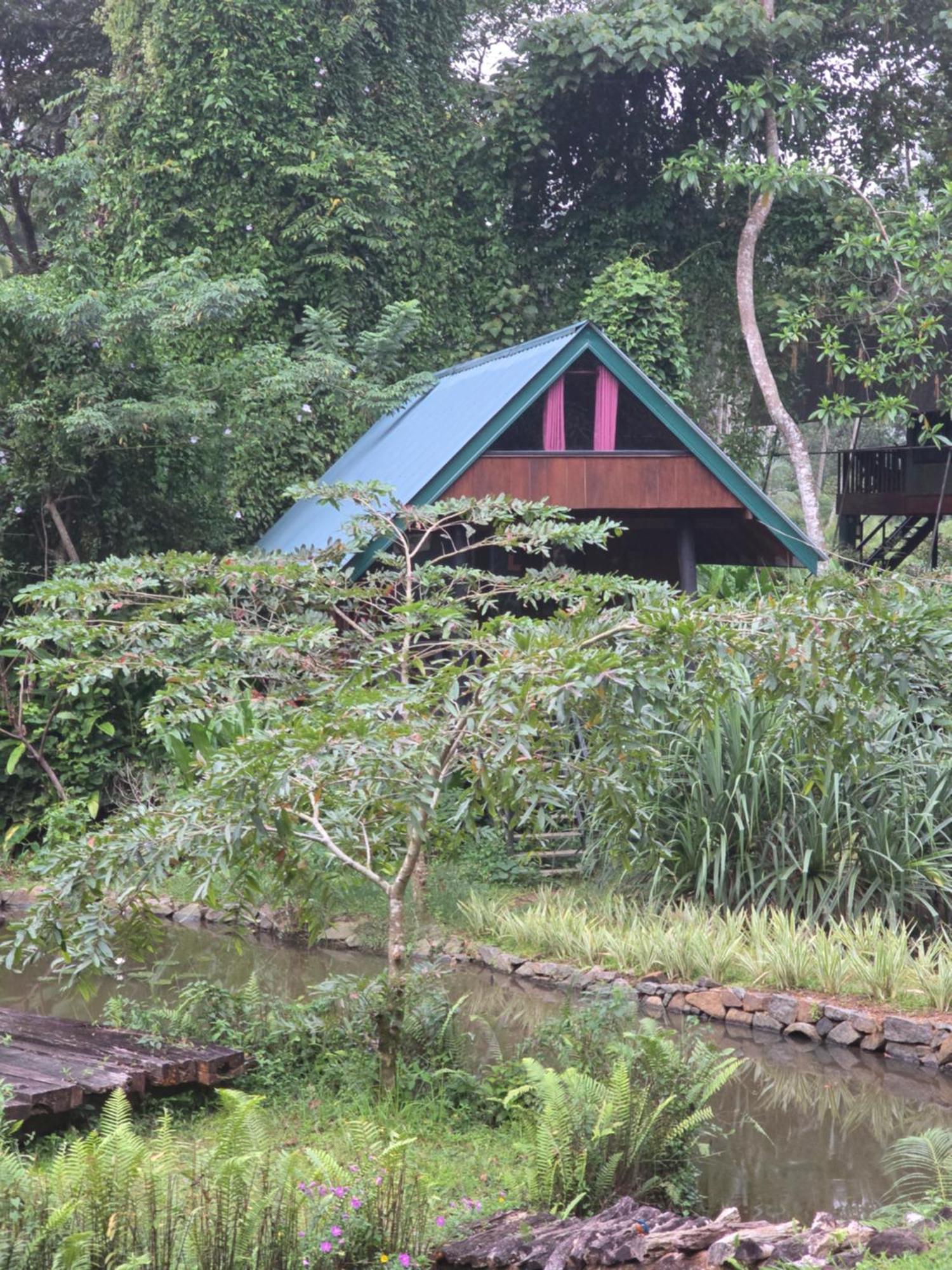 Sinharaja Forest Edge Deniyaya Ngoại thất bức ảnh