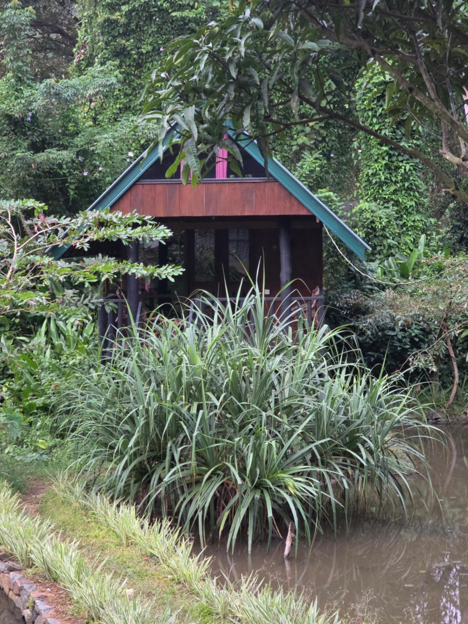Sinharaja Forest Edge Deniyaya Ngoại thất bức ảnh